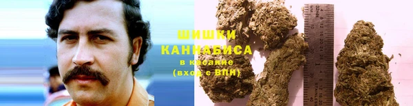 стаф Киреевск