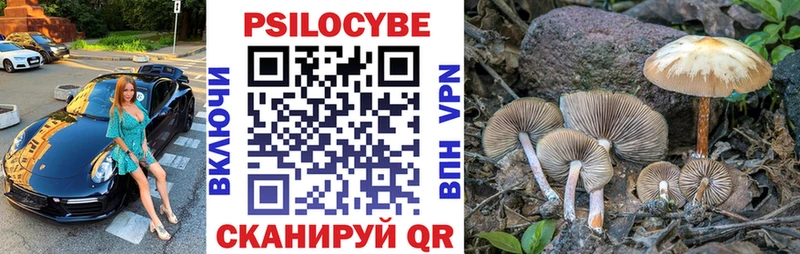 Галлюциногенные грибы Magic Shrooms  Купить  Большой Камень 